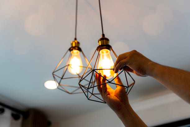 Best Residential Electrician Services  in Boles Acres, NM