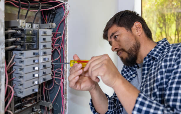 Best Electric Panel Repair  in Boles Acres, NM